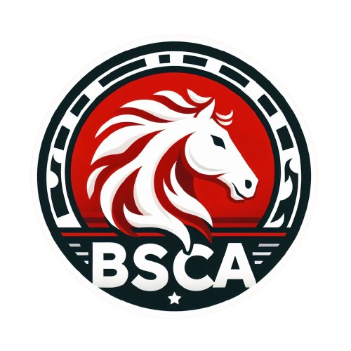 BS Chess Academy logo – Best chess coaching in Warangal & Hyderabad